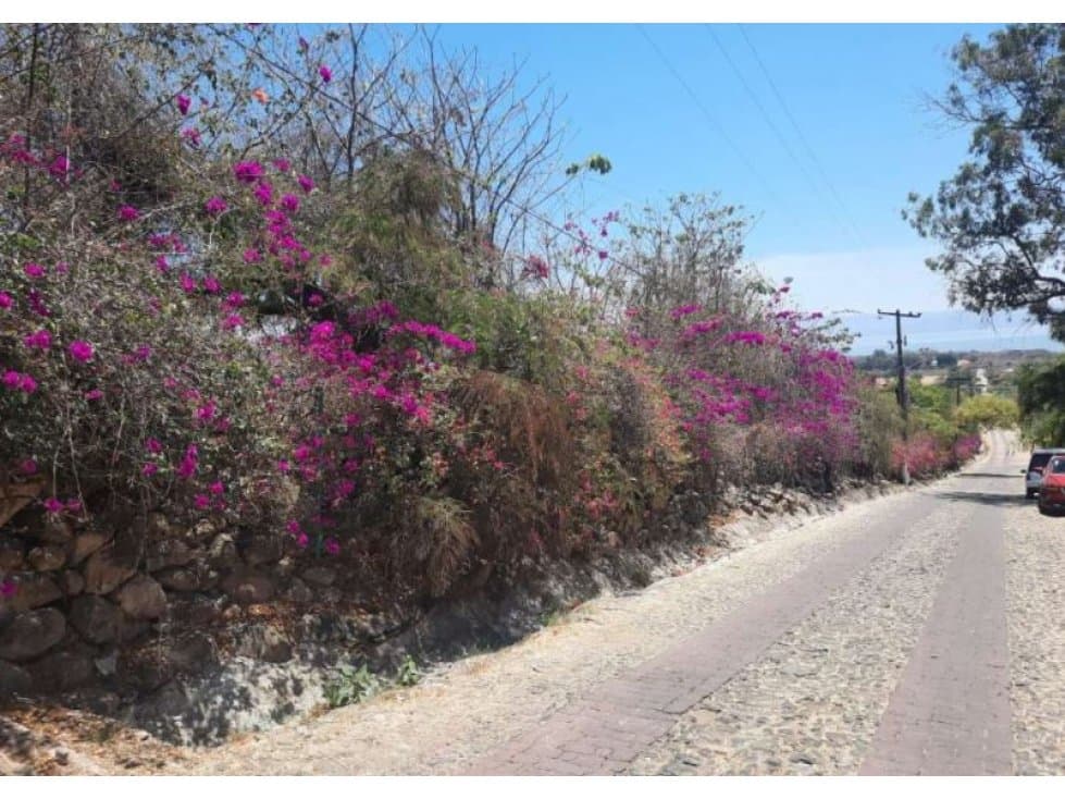Propiedad en venta a  invertir 23,278 m2 chapala - 1