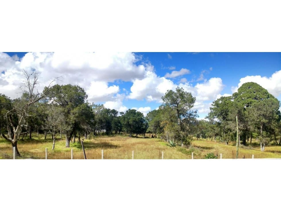 TERRENO EN VENTA SN DIONISIO YAUHQUEHMECAN TLAX - 1
