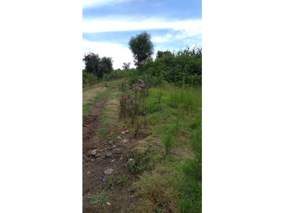 TERRENO EN VENTA EN LA AURORA TEPEYANCO TLAX - 1