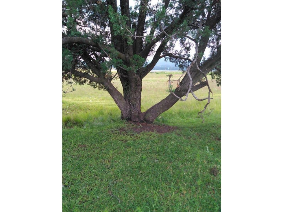 TERRENO EN VENTA SANTA  CRUZ  TLAX. - 1