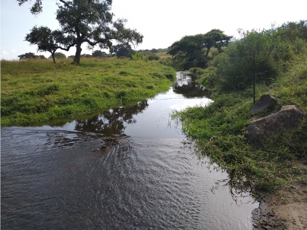 Terreno en venta Tepatitlán de Morelos Jalisco - 1