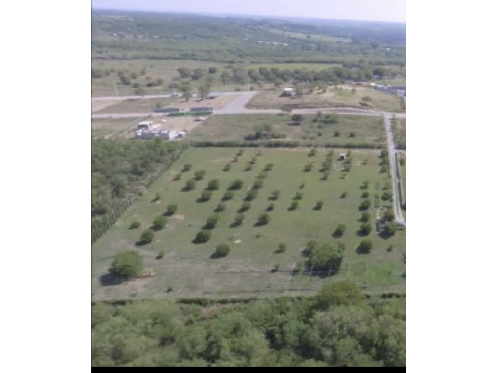 Terreno en Venta en Allende - 1