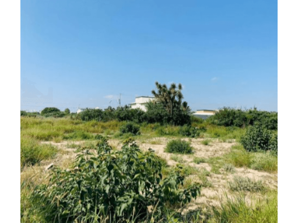 Terreno en Venta en Portal del Norte, Zuazua NL - 1