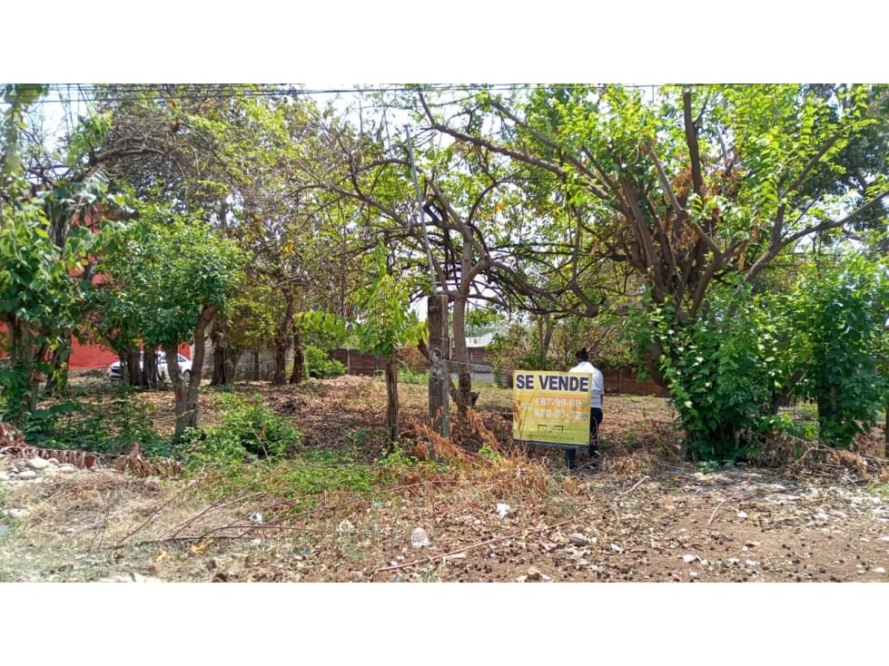LOTES EN VENTA COL. PORVENIR TAPACHULA - 1