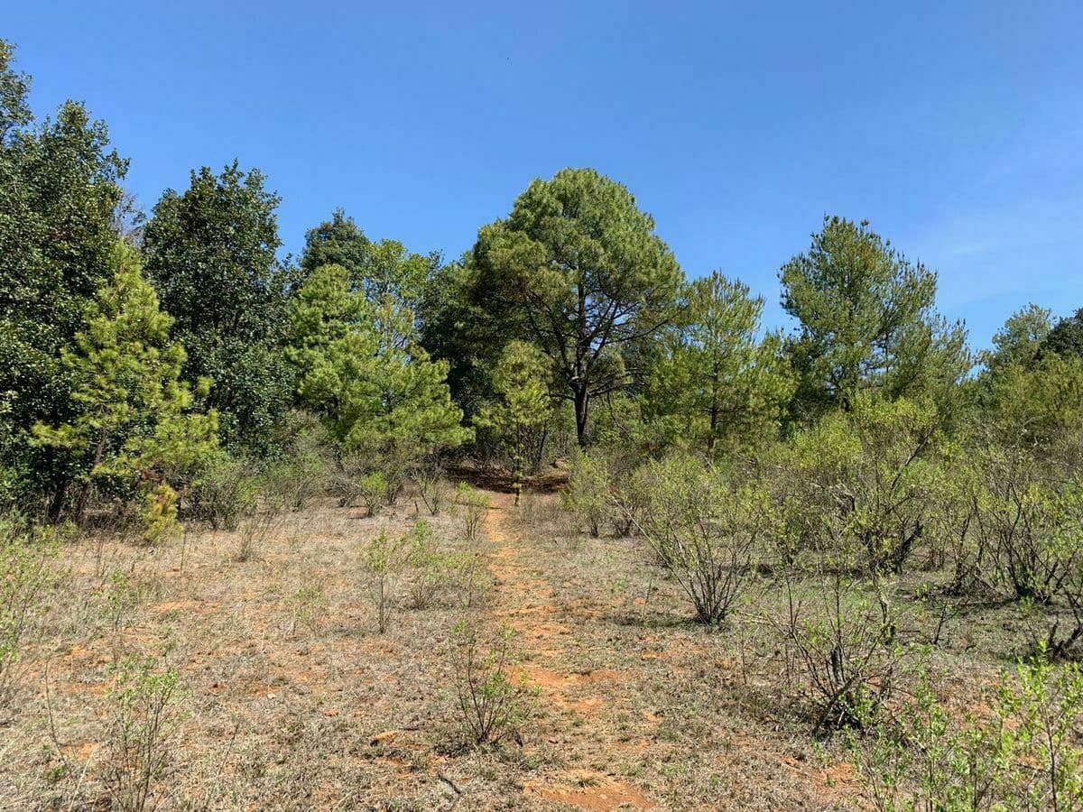 Terreno grande en venta Yotatiro Eronga con Vista Lago Pátzcuaro - 1