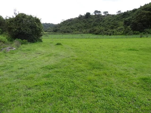 Terreno en venta en Arocutín, ideal para siembra - 1