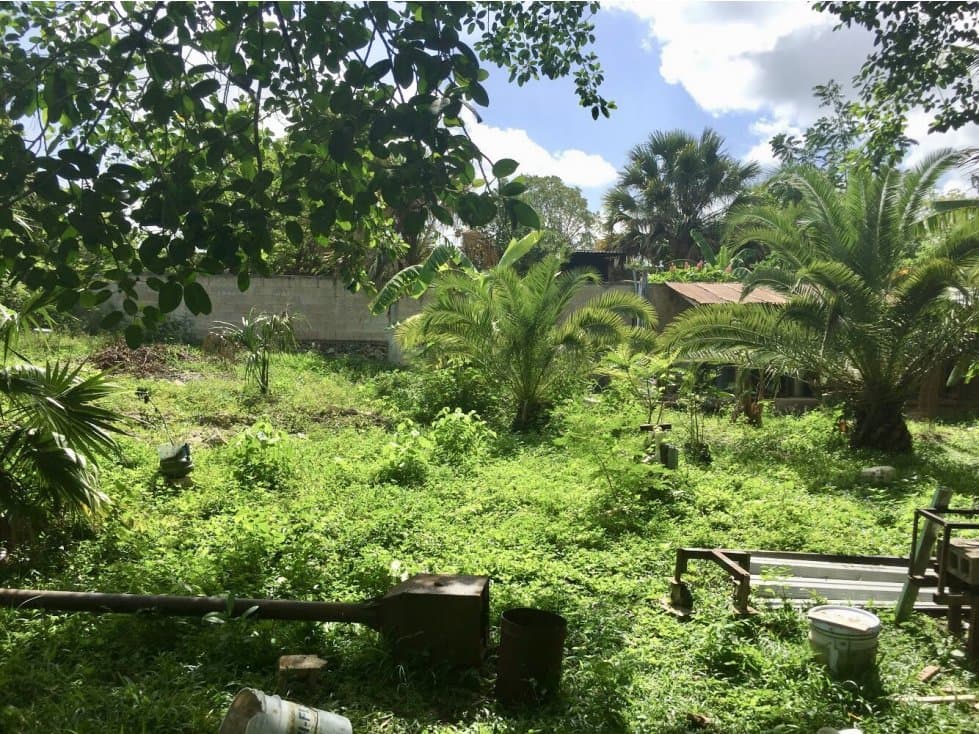 Espacioso Lote en renta en Santa Lucia - 1