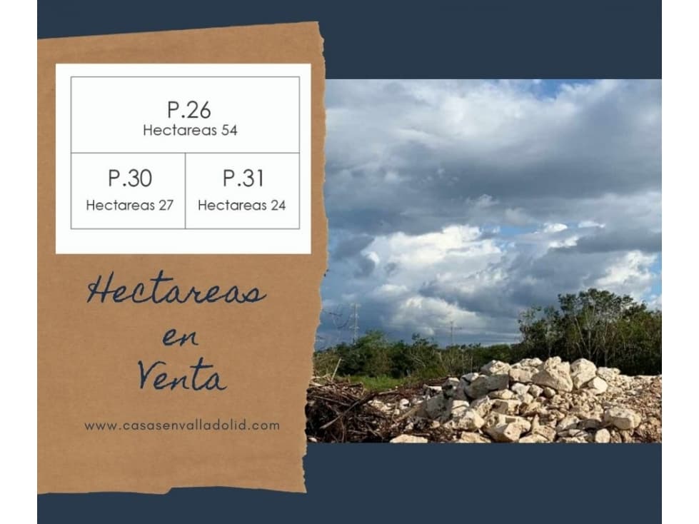 Hectáreas en Venta cerca de Colonia Yucatán - 1