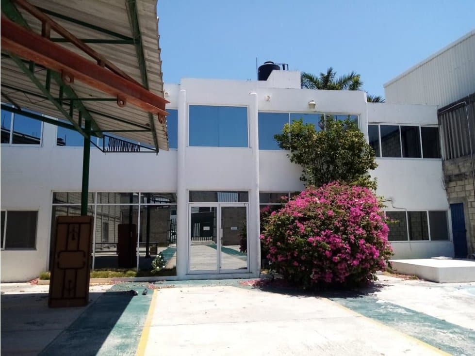 RENTA PATIO CON OFICINAS EN SAN AGUSTIN DEL PALMAR CIUDAD DEL CARMEN - 1