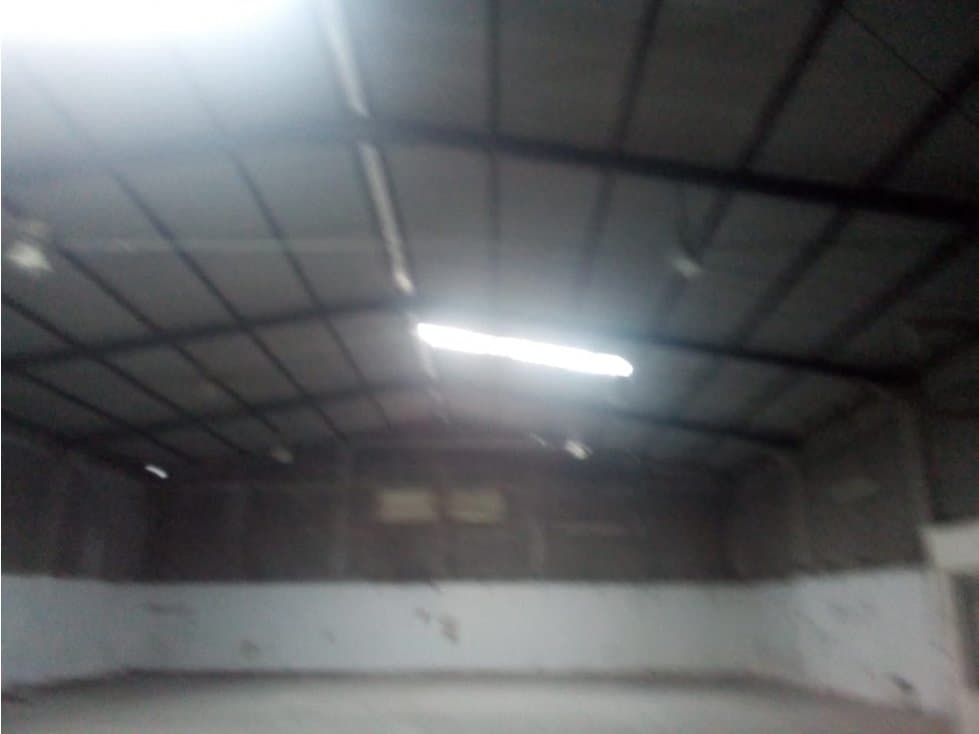 Bodega - 1