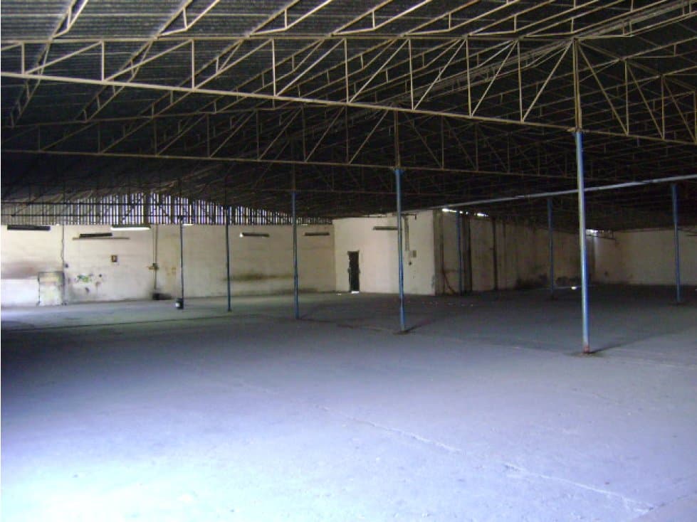 BODEGA - 1