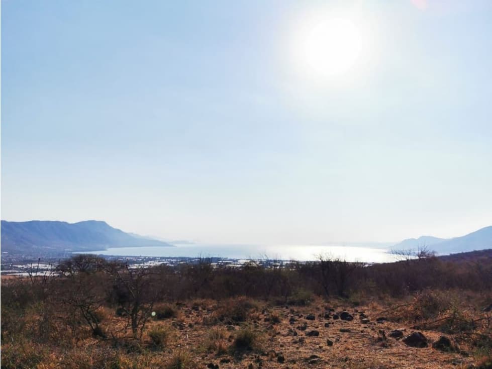 TERRENO EN VENTA EN JOCOTEPEC - 1