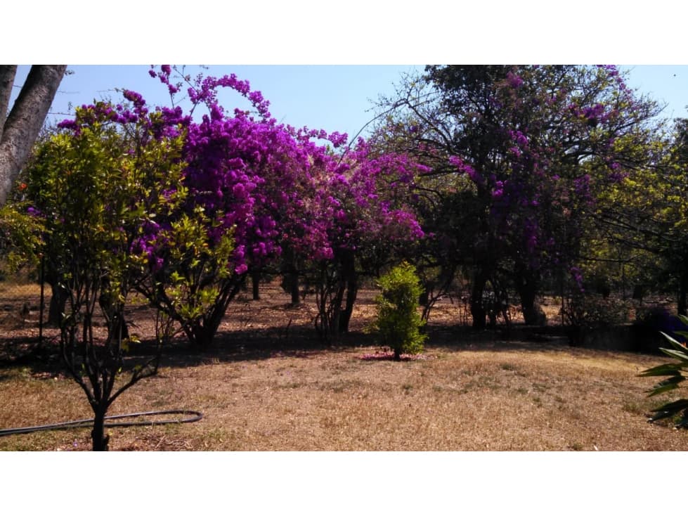 Venta de Rancho en Xochitlan - 1