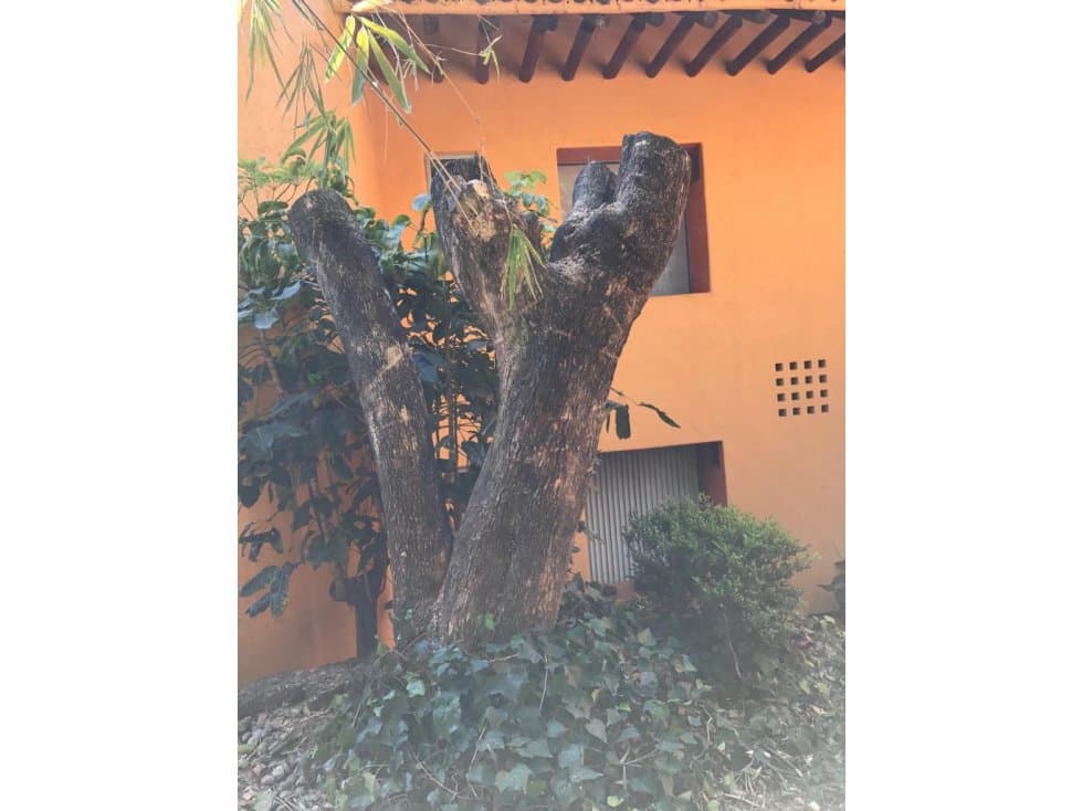 Renta de Casa en Condominio Ahuatepec - 1