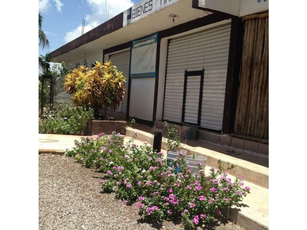 TERRENO CON HOTEL, RESTAURANTE Y DOS LOCALES EN MAHAHUAL - 1
