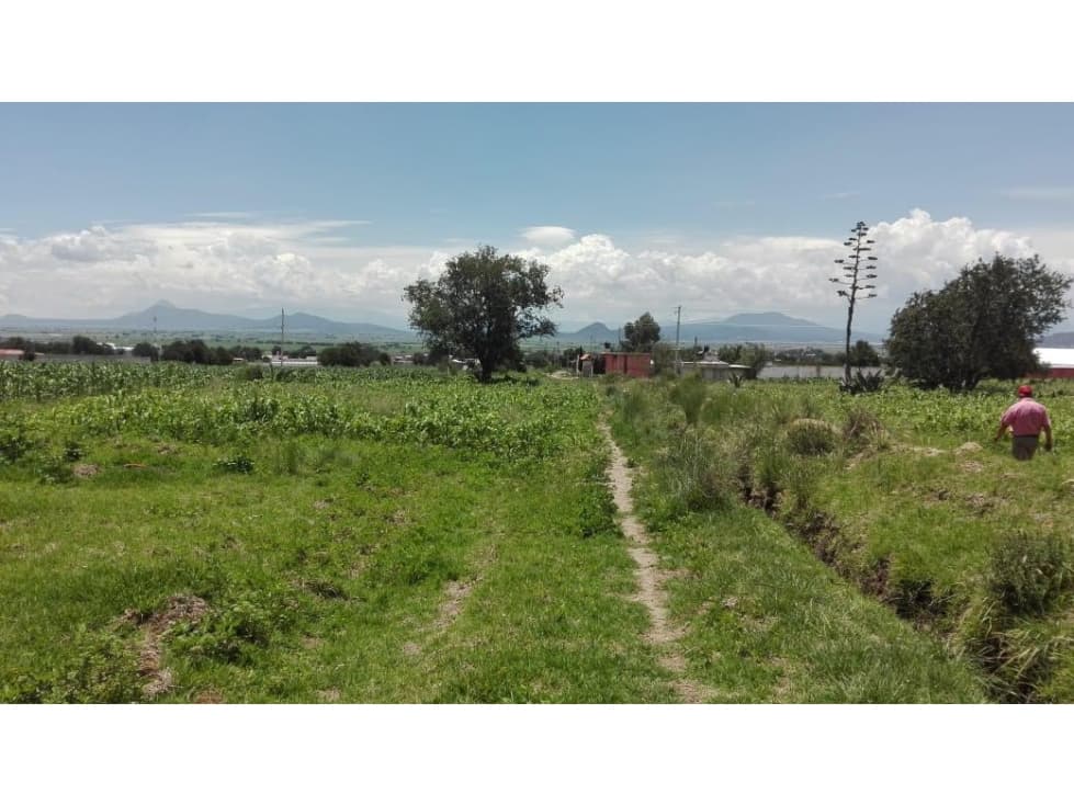 Terreno en Venta en Libres Puebla - 1