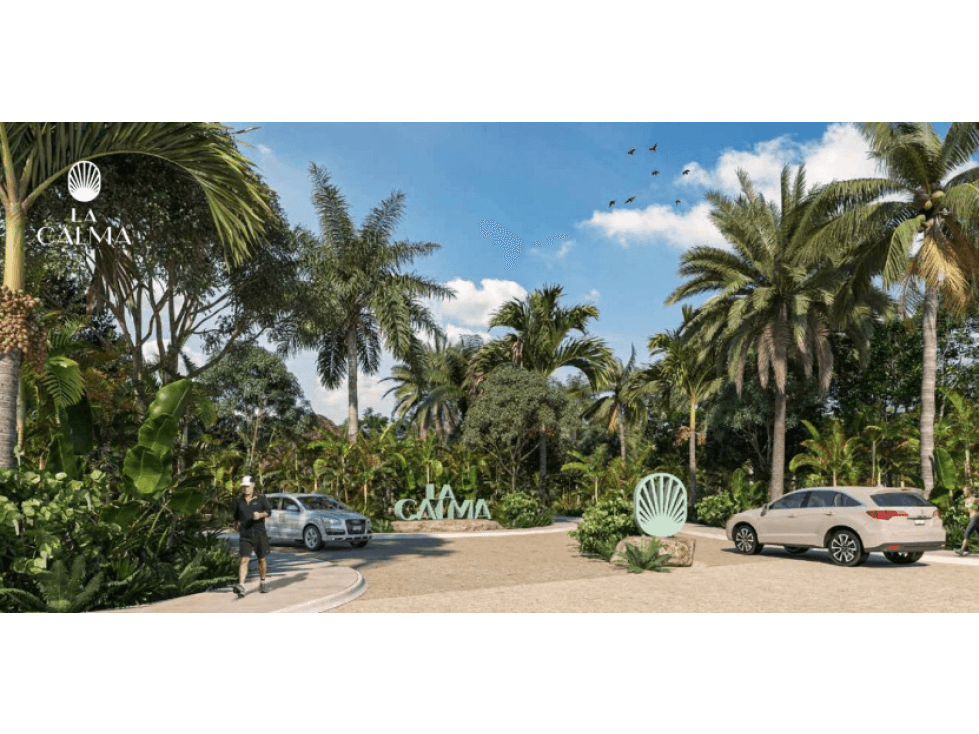 LOTES RESIDENCIALES EN VENTA, LA CALMA. - 1