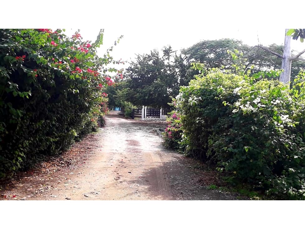 VENTA DE RANCHO DE 253 HAS A 5 MIN DE TIZIMIN, YUCATAN. - 1