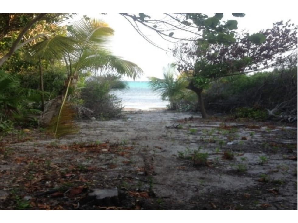 Venta de terreno Xcalak, Quintana Roo - 1