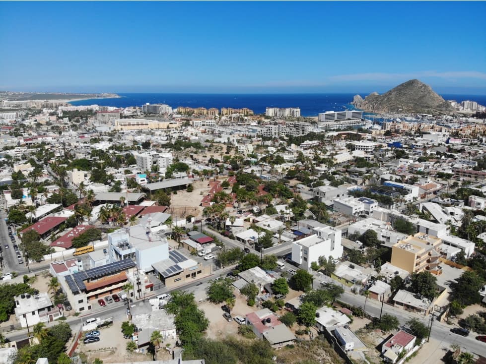 LOTE LILIA - 1