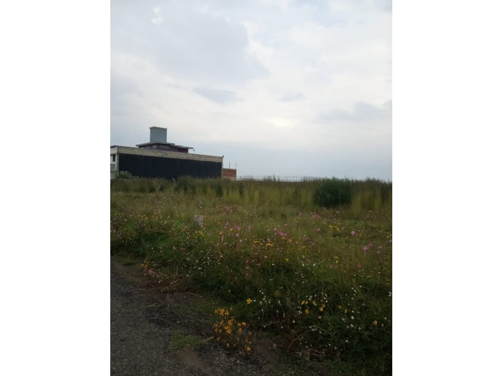 VENTA DE 2 LOTES EN EX HACIENDAS DE CACALOMACAN - 1
