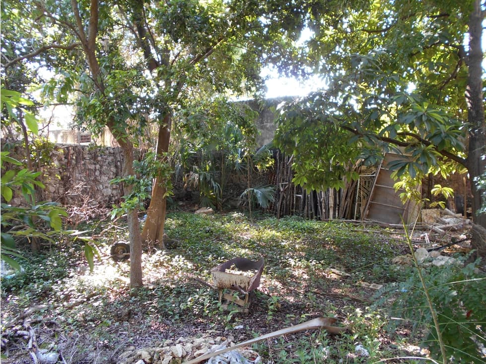 Terreno Merida centro ideal para desarrollo inmobiliario - 1