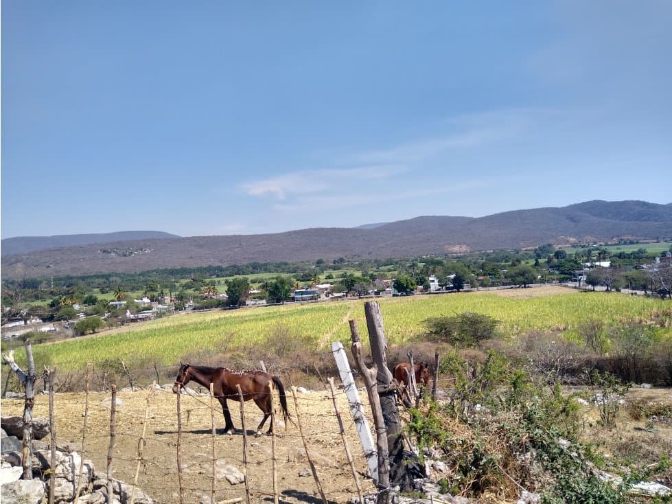 TERRENO EN COL. ALEJANDRA, TLALTIZAPAN - 1