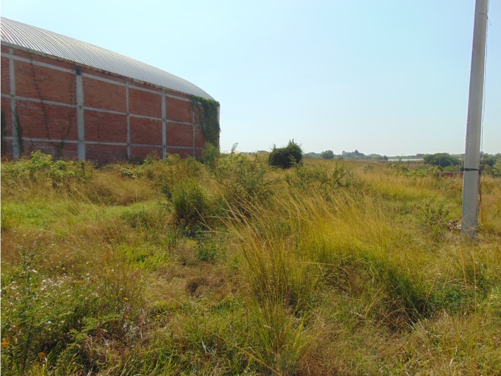 TERRENO EN VENTA ESCRITURADO CON SERVICIOS YECAPIXTLA 200 MTS - 1