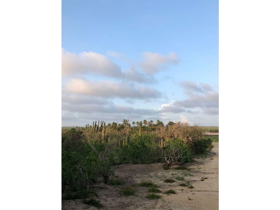 Lote cerca de Playa, al Norte de Todos Santos - 1