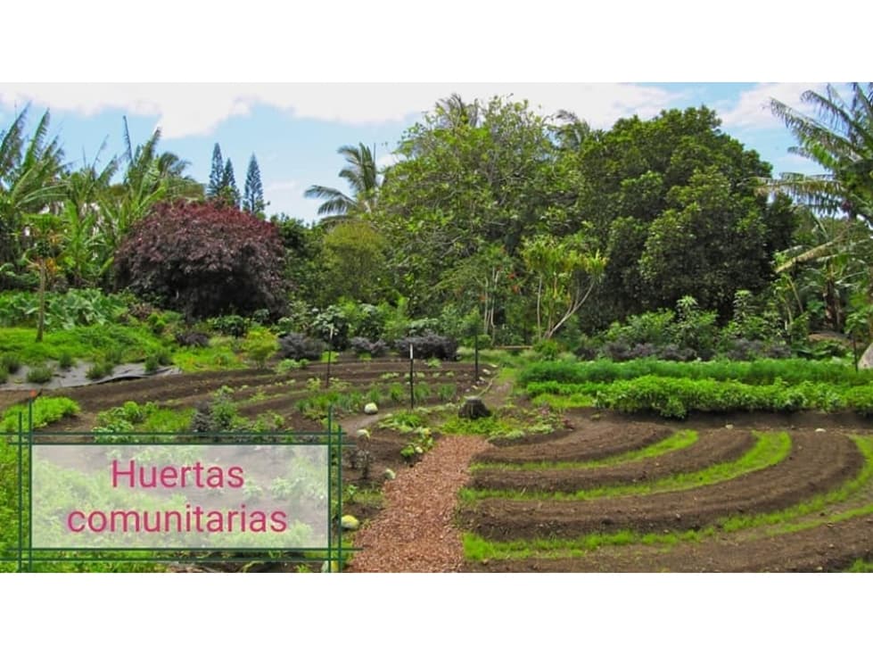 Terrenos a crédito en Santuario - Los Cabos - Cabo San Lucas - 1
