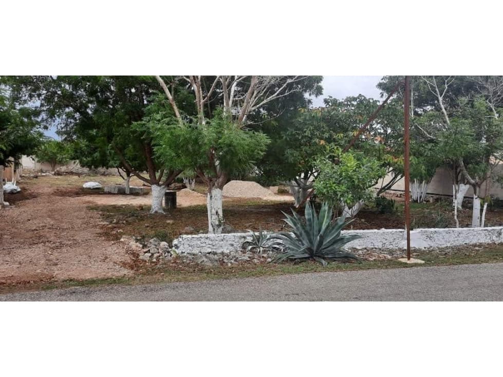 Terreno ideal para inversionistas, Cholul - 1