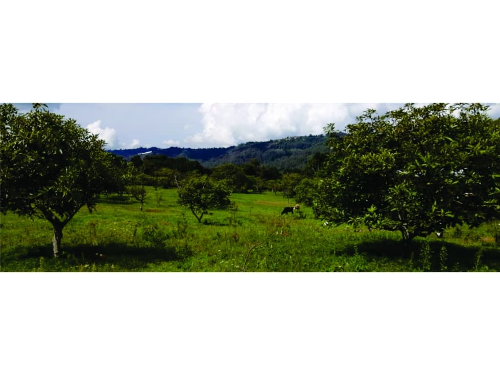 Rancho, terreno agricola en Ixtlahuaca de Villada Coatepec Harinas - 1