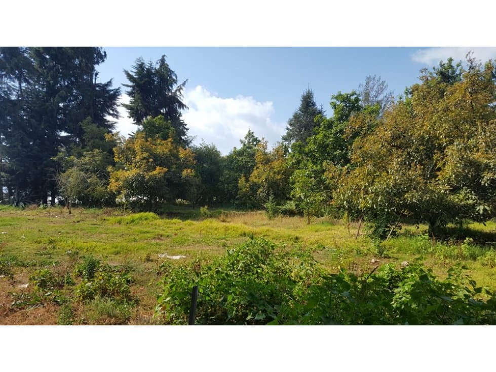 Rancho (ranchito) de aguacate con casa, Coatepec Harinas, México - 1