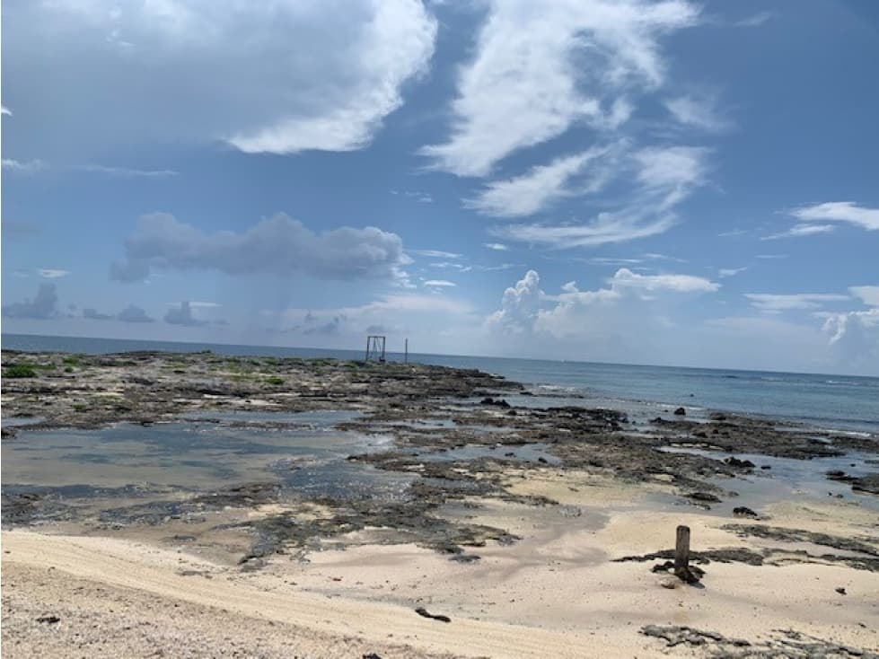 Terreno frente al Mar en Akumal Punta Sur - 1