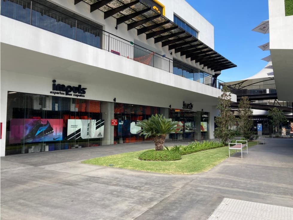 Oficinas en Renta en Raúl Salinas 356.94 mts2 1nivel en Plaza LSL - 1
