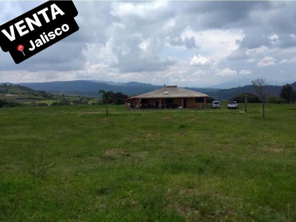 TERRENO DE 83 HECTAREAS ESPECIALES PARA BERRIES EN ZONA VALLES JALISCO - 1