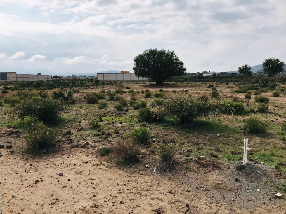 Lotes Económico en Venta en Epazoyucan - 1