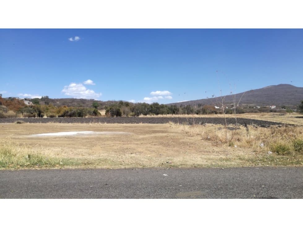 TERRENO 11,000 M2 EN URIANGATO GUANAJUATO - 1