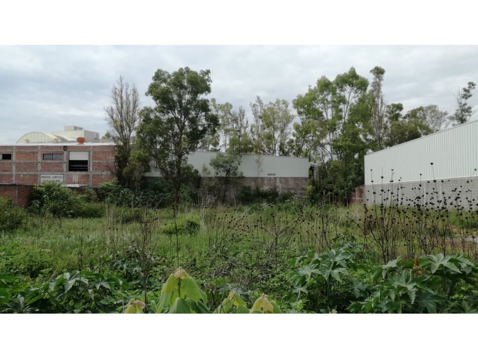 TERRENO A UN COSTADO DE LA PEPSI EN MOROLEON GUANAJUATO - 1