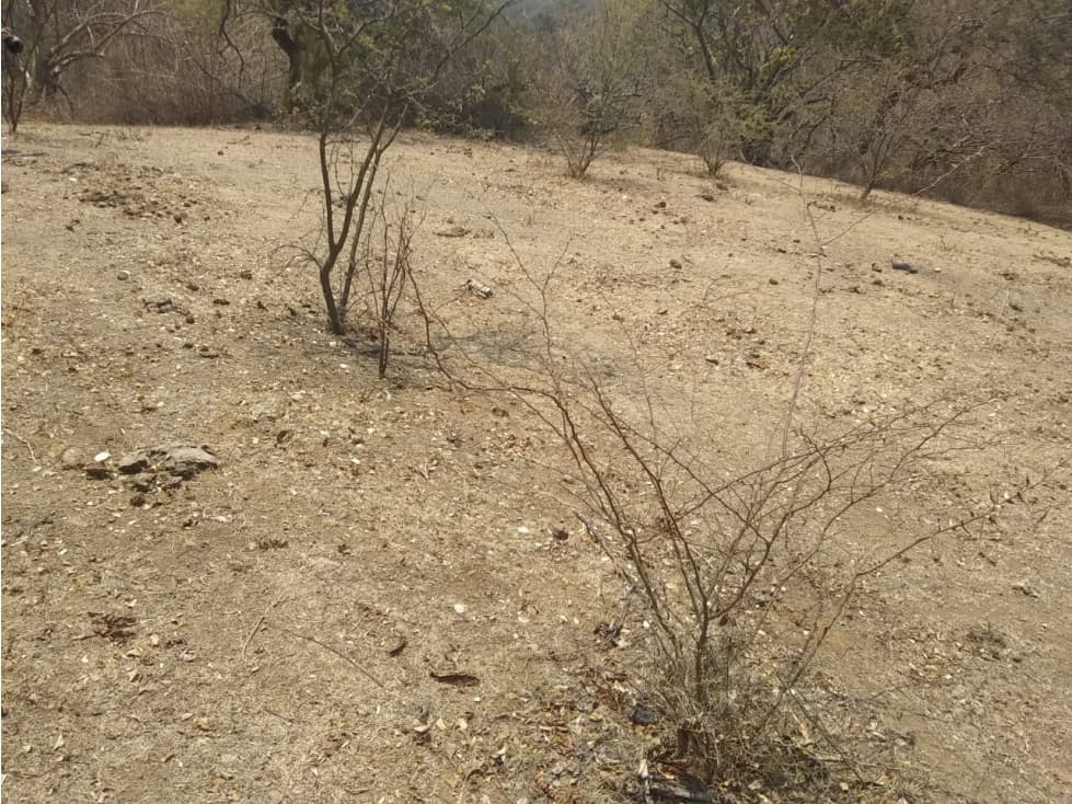 Se vende terreno, con mina de arena para construcción - 1