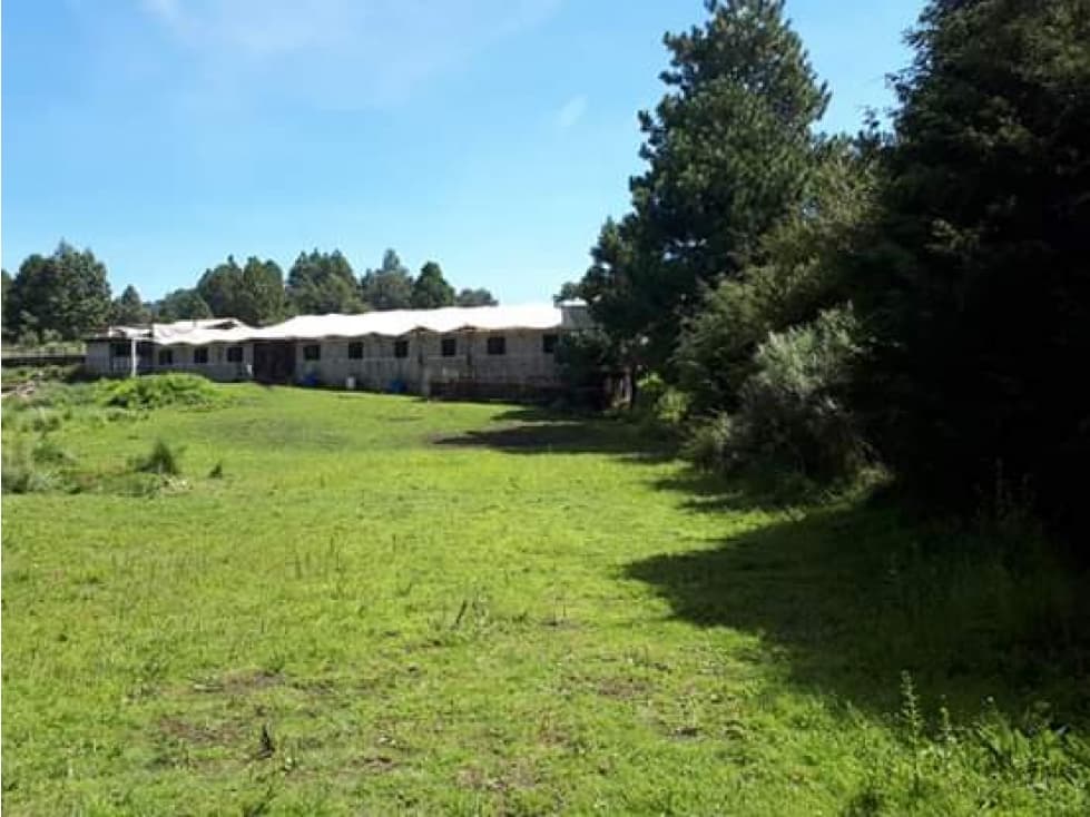 TERRENO EN TRES MARIAS, MORELOS - 1