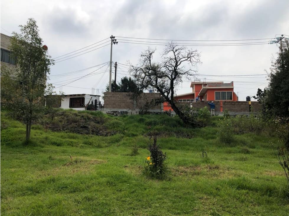 TERRENO EN TENANGO DEL AIRE 800 M2 EXCELENTE OPORTUNIDAD DE INVERSIÓN - 1