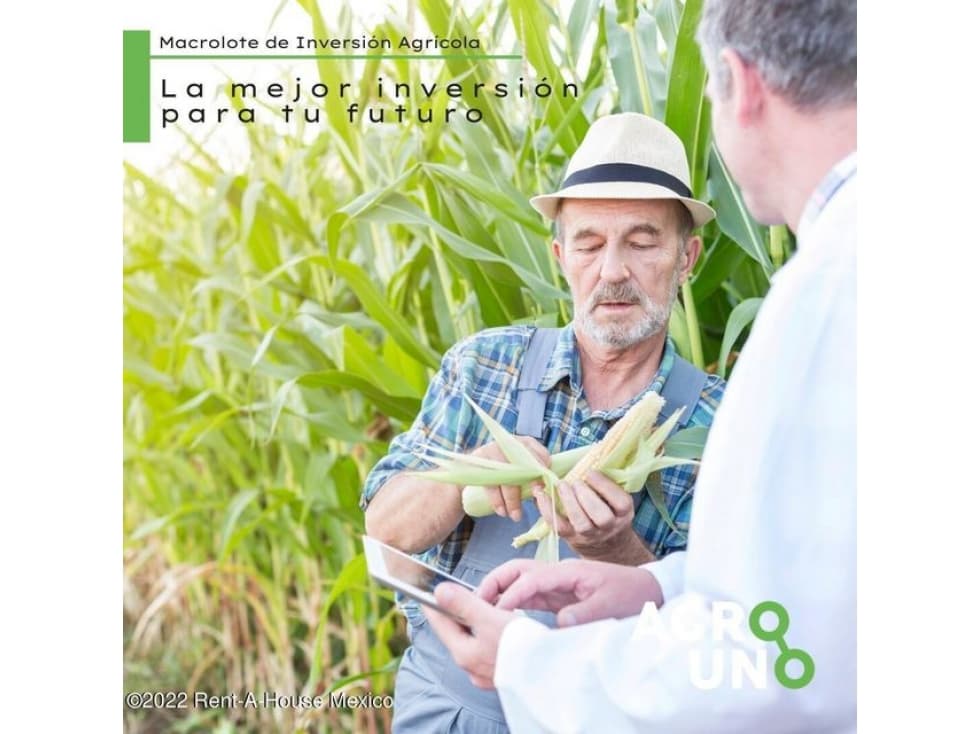 Terreno Agrícola en Venta en Hopelchem,Xcupil GY. 22-4544 - 1