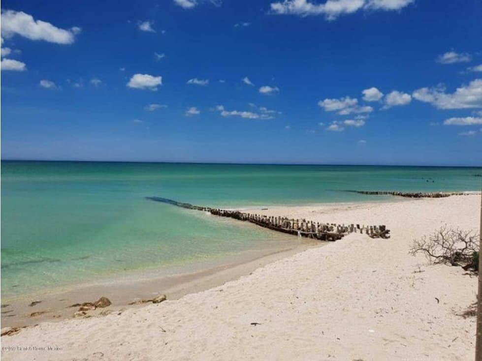 Terreno Venta Chuburna Puerto, Yucatan Ceiba. 22-2774 M.M - 1