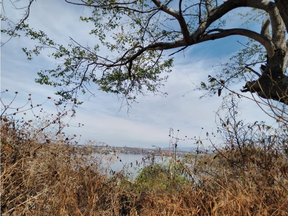 TERRENOS EN VENTA CON VISTA AL LAGO "HERNÁN" - 1