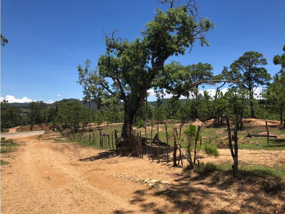 En venta terreno Rustico por zona Arqueológica - 1