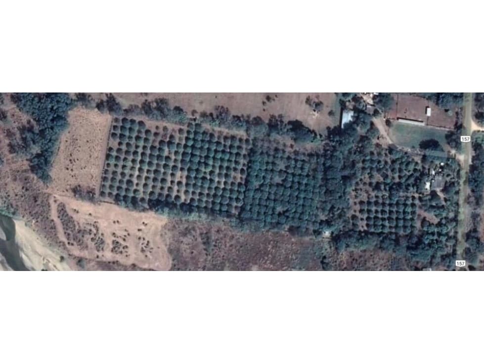 HERMOSA FINCA CON ARBOLES FRUTALES Y ESPACIO PARA GANADO - 1