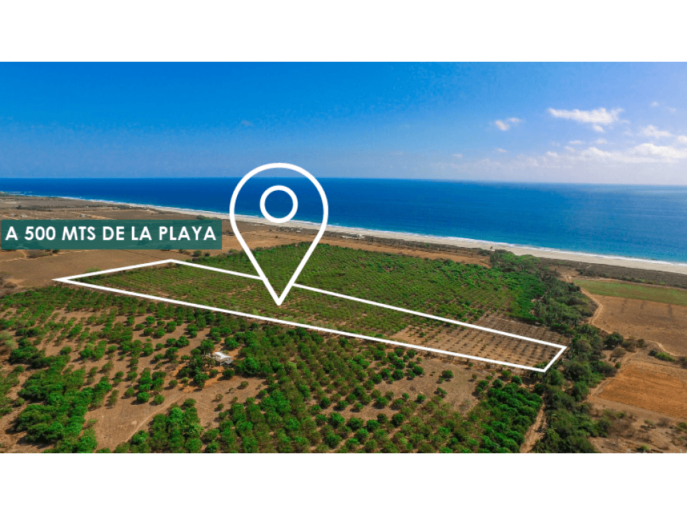 Plataforma / 200 m2 / A 500 mts de la playa - 1