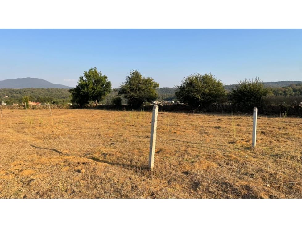 Terreno en Venta Plano Bien Ubicado Col La Ilusion - 1