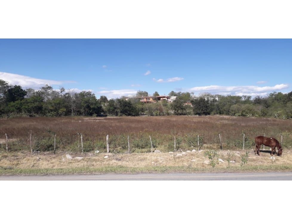 TERRENO EN VENTA EN DOCTOR GONZÁLEZ EN NUEVO LEÓN - 1